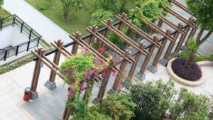 Houston Arbor