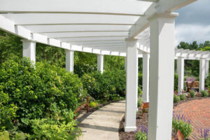 A Long Houston Arbor