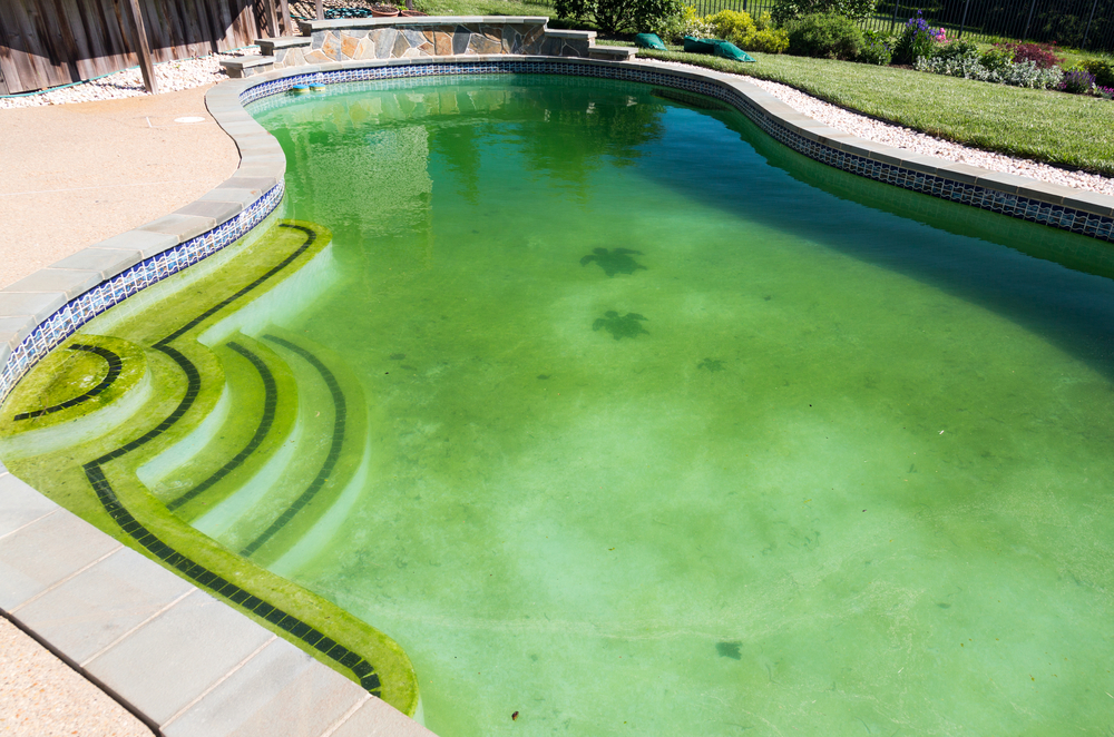 5 Steps to Successfully Cleaning a Green Swimming Pool, Creekstone Outdoor Living, Spring, TX