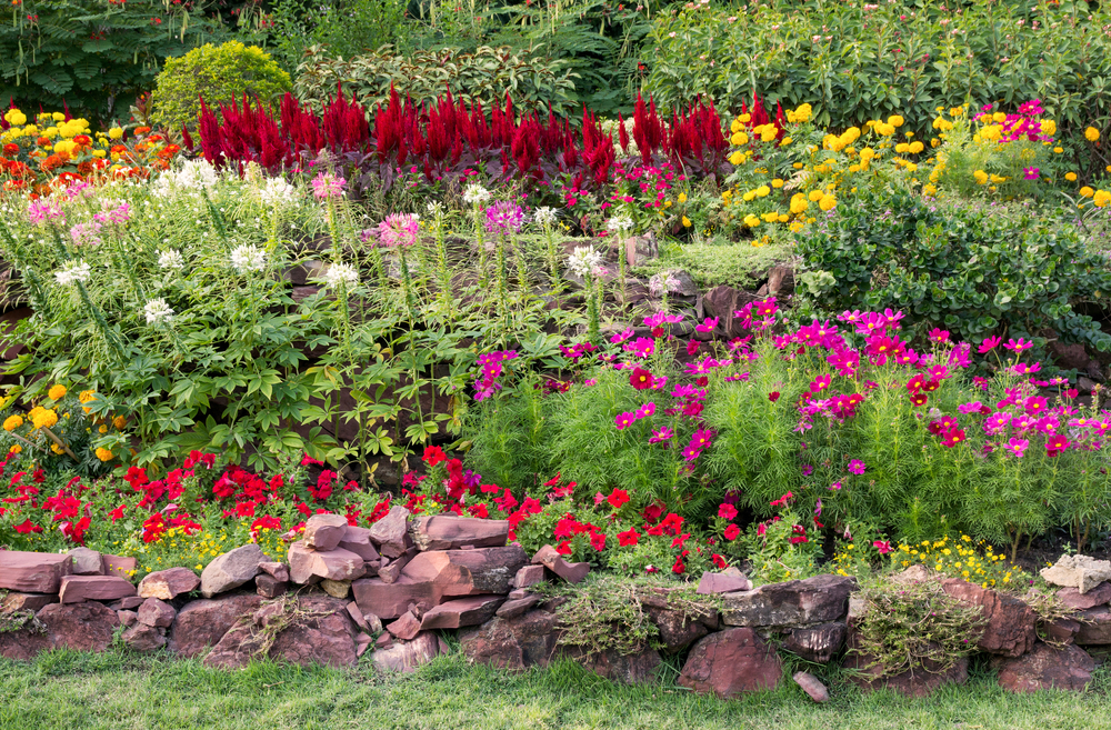 Creating a Luxurious Ambiance for Your Backyard